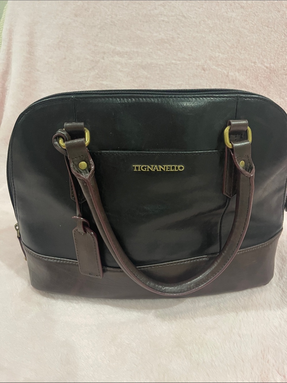 Tignanello Black Leather Tote with Brown Trim and Gold Accents